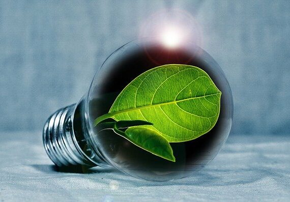 Energiewende: Förderung und Dienstleistungen